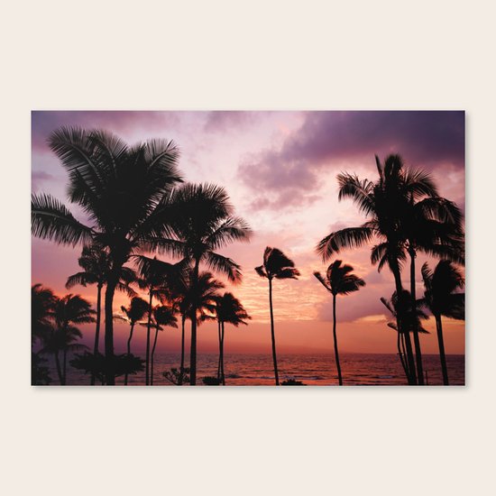 Palms Canvas Print