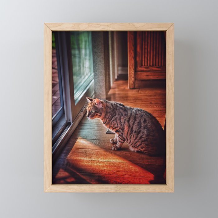 Cat in a House Framed Mini Art Print