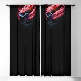 Snake Red Blue Black Blackout Curtain