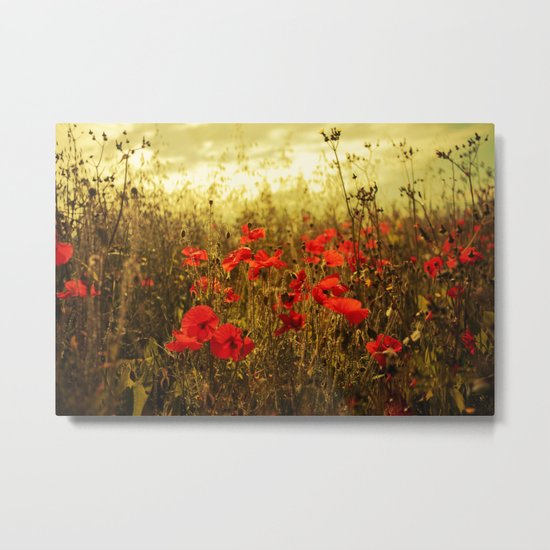 Poppy Glow Metal Print