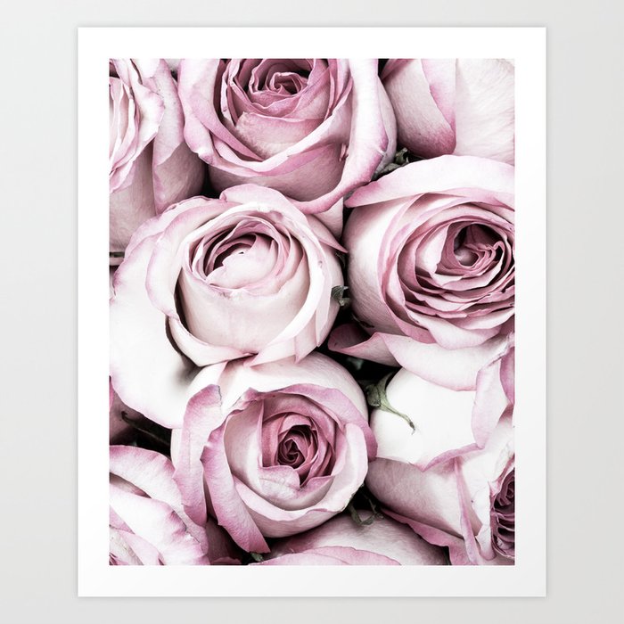 A Cascade of Perfectly Pink Roses Art Print