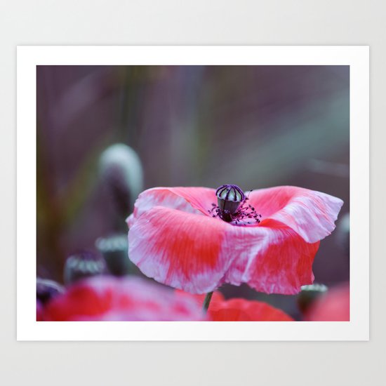 open your heart Art Print
