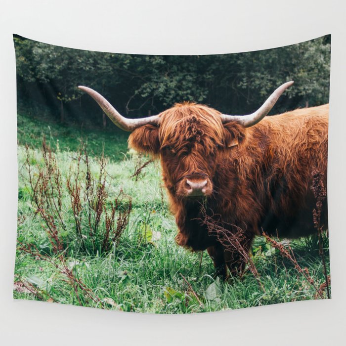  Scottish Highland Cow Print - Scottish Highland Photo - Animal Wall Art - Nature Photography Wall Tapestry