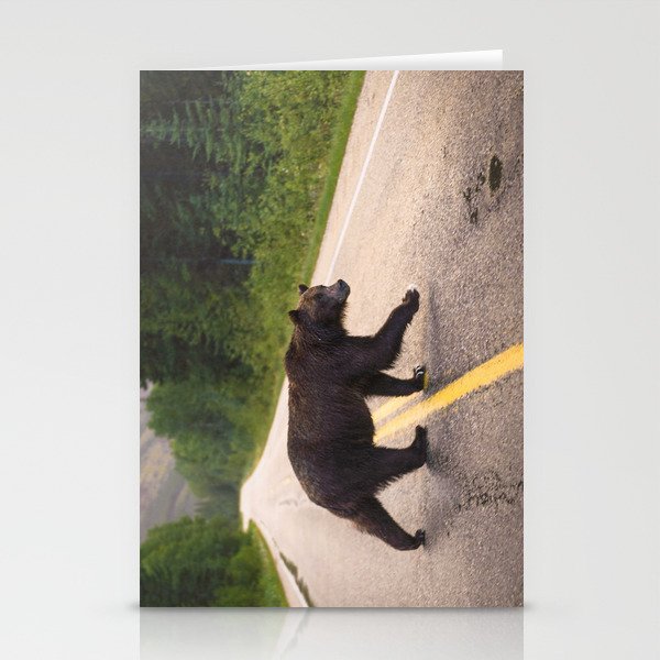 Grizzly Bear in Banff National Park Stationery Cards