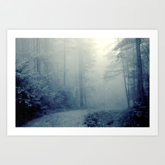 Wander in a Woodland Fog Art Print