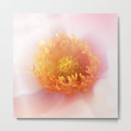 FloweR Metal Print