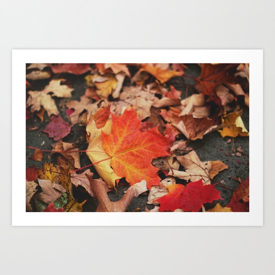 crimson leaves Art Print