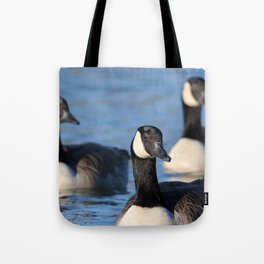 Canadian geese | Goose | Bird | Nature photography Tote Bag