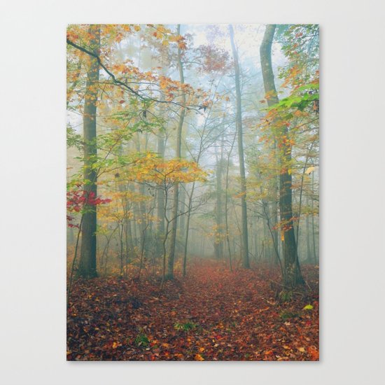 Find Your Path Canvas Print