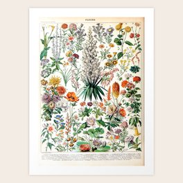 Adolphe Millot - Fleurs B - French vintage poster Art Print