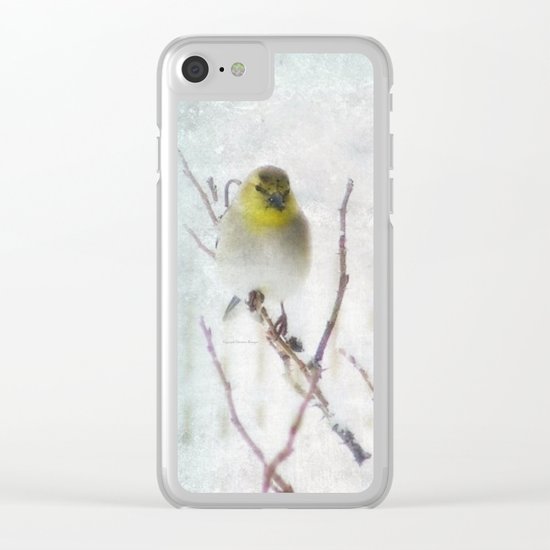 Winter Clear iPhone Case