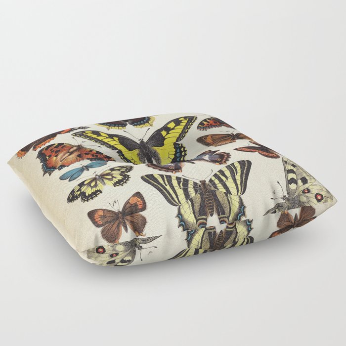 Butterflies Scientific Illustration, Butterfly Chart, Colorful Butterflies Floor Pillow