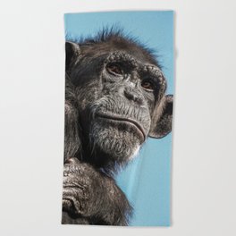 Chimpanzee monkey Beach Towel