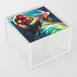 Emotions In Color 001 Acrylic Box