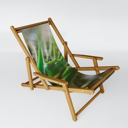 Cicada Wing Sling Chair