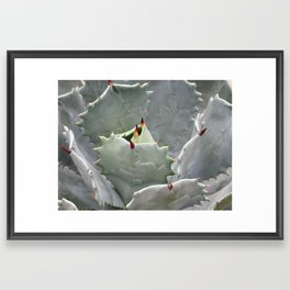 Nahaufnahme no. 6 Framed Art Print