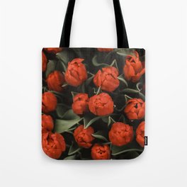 Tulips about to bloom in Kukenhof fields, Holland Tote Bag