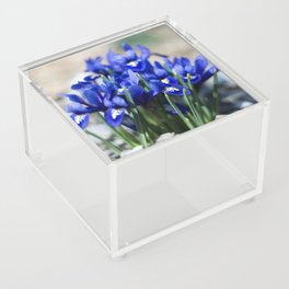 Iris Watercolor Acrylic Box