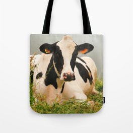 Holstein cow facing camera Tote Bag