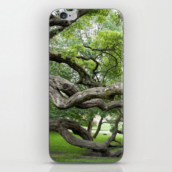 adapt or perish iPhone & iPod Skin