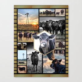 Cow - black angus cattles Canvas Print
