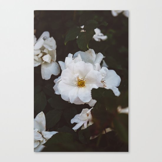Soho Blooms Canvas Print