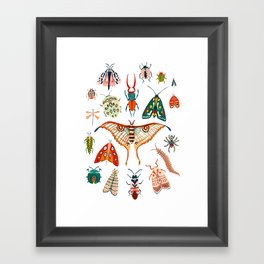 Beetles of the World Framed Art Print