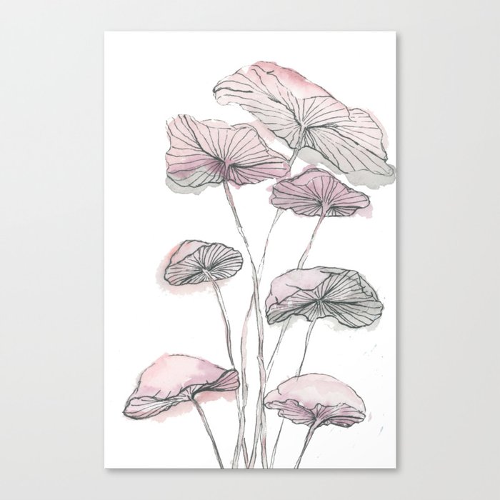 Pink Mushrooms Canvas Print