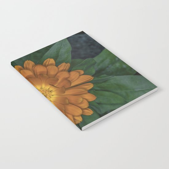 Orange Flower Notebook
