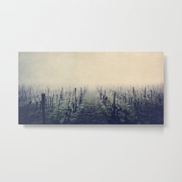 vineyards Metal Print