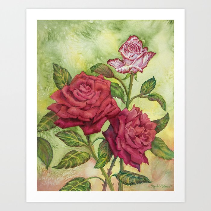 Fire Ice Roses Art Print By Krystalmeldrum Society6