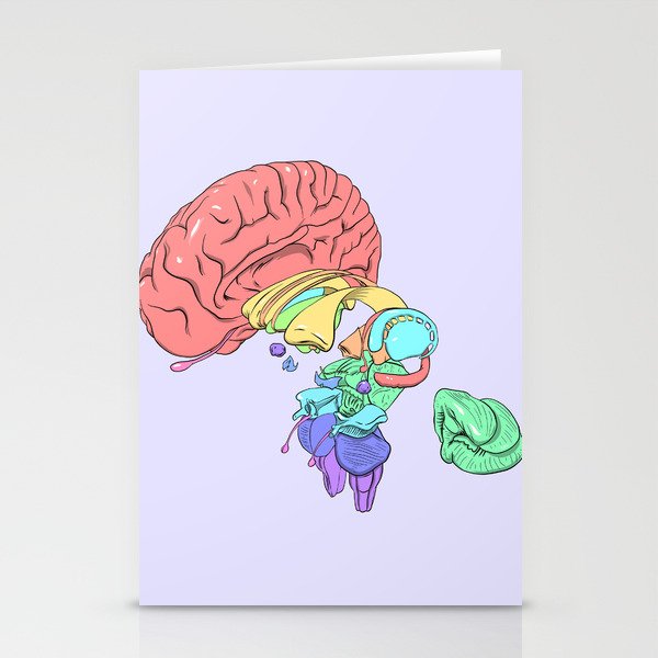 Exploded Anatomical Brain Stationery Cards
