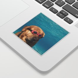 Swimmer Dog Sticker