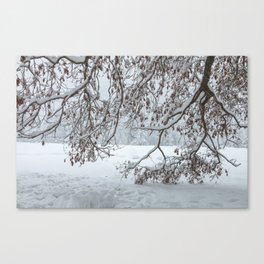 snow Canvas Print