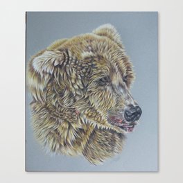 Otis, Golden Bear Canvas Print