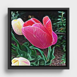 The Magenta Tulip Of Alchemy Framed Canvas
