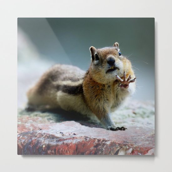 Talk To The Hand Metal Print