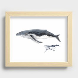 Humpback whale mother and humpback whale baby Recessed Framed Print