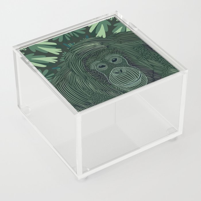 Orangutan Acrylic Box