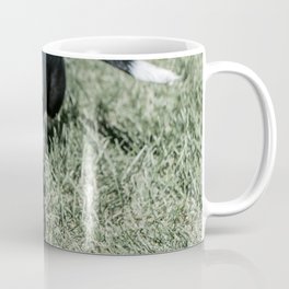 Basset Hound Puppy Droopy Ears Walking in Green Grass Cute Adorable Dog Photography Coffee Mug