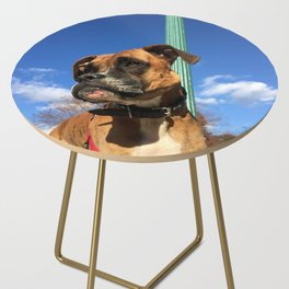 Looking Brown White Boxer Dog On 68 Side Table
