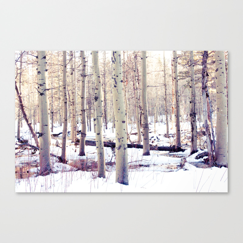 Aspen Trees In Winter Canvas Print By Zoishop Society6