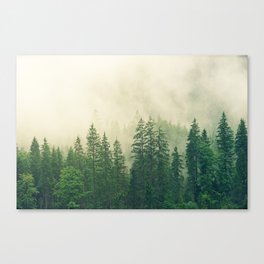 Majestic Forest Canvas Print