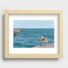 Dog Recessed Framed Print