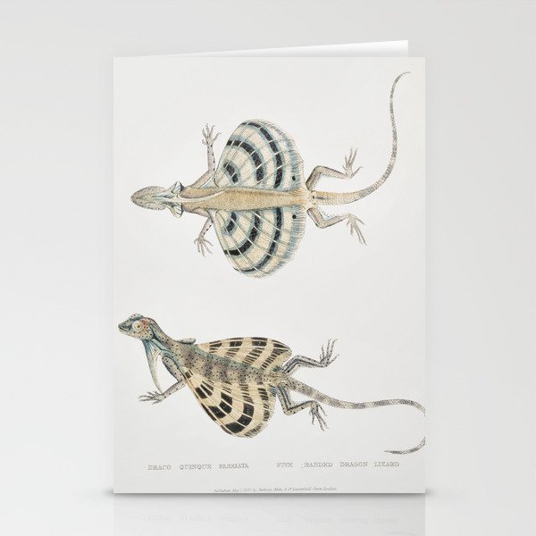 Five Banded Dragon Lizard Stationery Cards