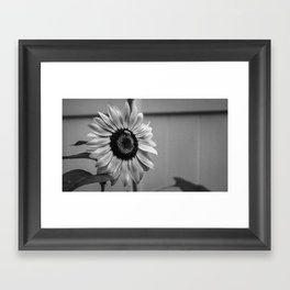 When Is Grey In The Bloom Framed Art Print