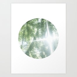 Abstract Nature Circle Art - Tree Photography No. 1 Art Print