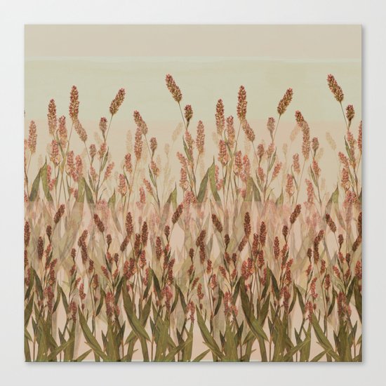vegetal motif Canvas Print