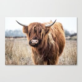 Highland Cow Landscape Canvas Print