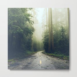 Redwood Forest Adventure - Nature Photography Metal Print